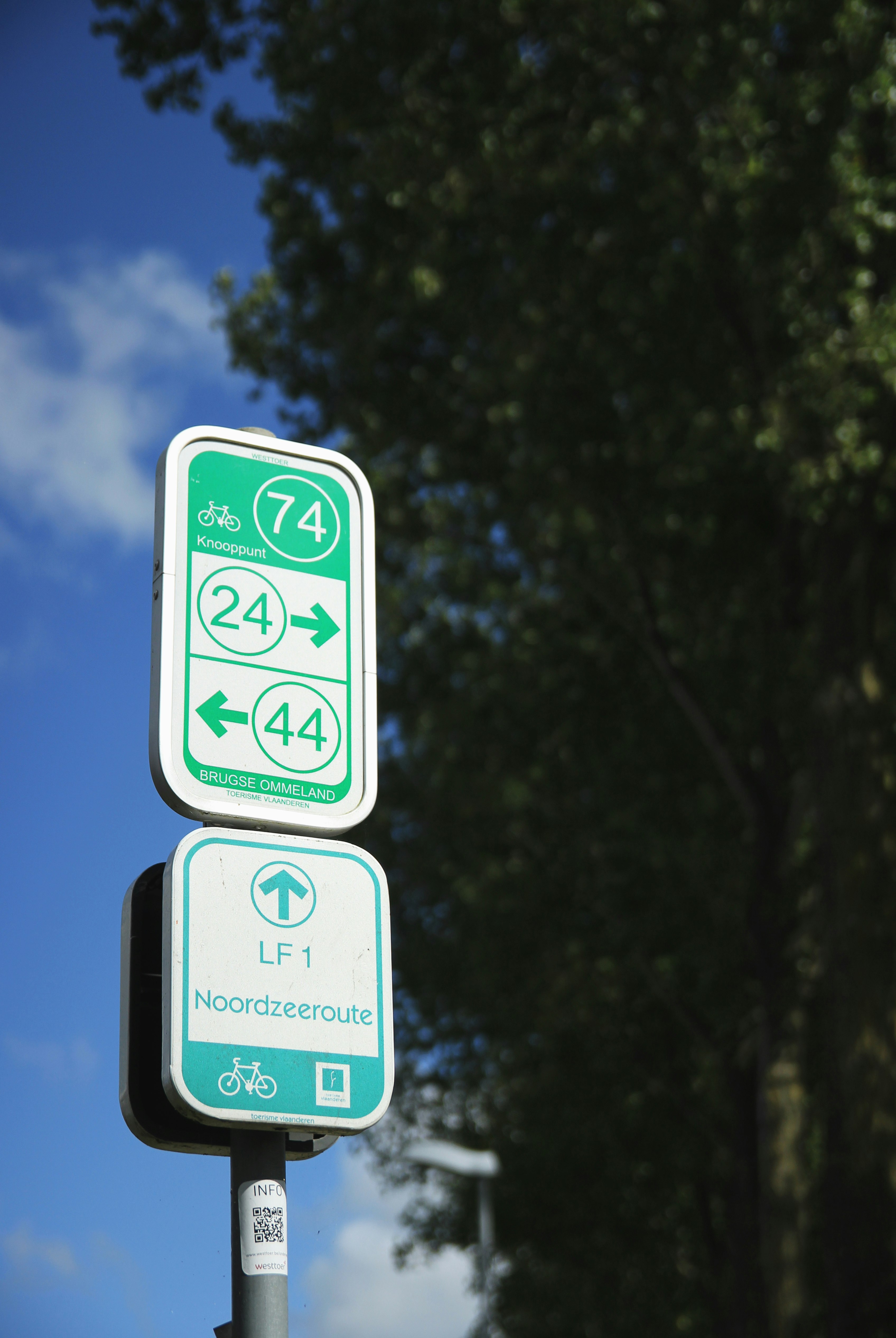 green and white road sign